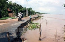UNDP helps Vietnam battle climate change