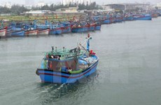 Quang Ngai fishermen equipped with ICOM devices 