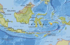 Indonesia quake injures eight, damages houses 