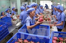 Mekong Delta positive about fruit export