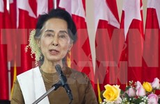 Myanmar boosts establishment of new government