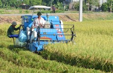 Ha Nam: additional 15 communes declared new rural areas 