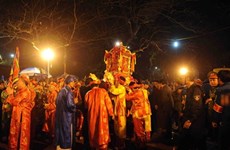 Ngoc Lo palanquin parade kicks off Tran Temple Fest 
