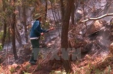 Forest fires threatens areas across country 