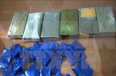 Quang Tri: drug smuggling busted on Vietnam-Laos border 