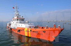 Nine fishermen in distress offshore Da Nang rescued