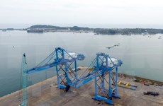 Giant cranes made in Vietnam shipped to central port