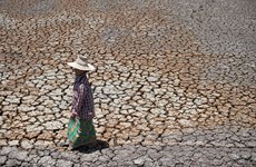 Thailand: drought might cut 0.8 pct of GDP