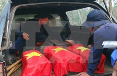 Fallen soldiers laid to rest in An Giang 