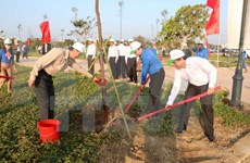 HCM City: 480 billion VND spent on greening 