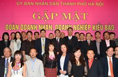 Government announces action plan on overseas Vietnamese