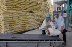Advanced post-harvest rice technologies introduced 