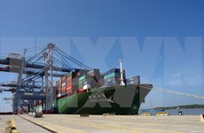 Cai Mep int’l port welcomes large container ship 