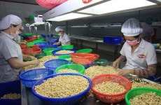 WTO Director-General: Vietnam is on the right path