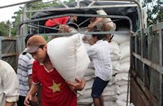 Phu Yen, Tuyen Quang to get rice aid