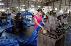 Vietnam’s plastic sector eyes alternatives