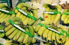 Vietnamese bananas on Japan’s supermarket shelves