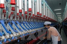 Vietnam's textile industry looks to 2020 and beyond