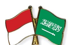 Indonesia, Saudi Arabia agree to double trade by 2020