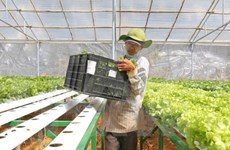 Quang Ninh appeals for investment in agriculture