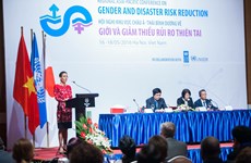 Women key to dealing with disaster risks: UN Women official
