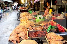 Hanoi unveils hotlines for food safety-related feedback