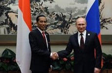 Russia, Indonesia sign defence cooperation agreement