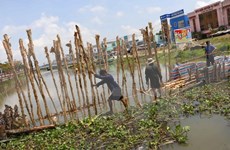 Vietnam must prepare well for natural disasters