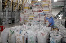 Rice exports in Q2 fall