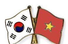 Dong Nai’s Vietnam-RoK friendship association set up