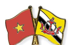Vietnam, Brunei have expanded defence ties