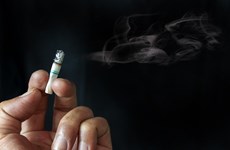 Tobacco use among Indonesian youths on alert