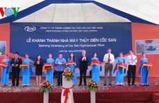 First foreign-funded power project in North Vietnam inaugurated 