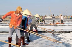 Embattled salt farmers in Quang Ngai Province aided
