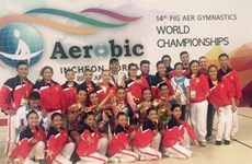 Vietnam wins four world Aerobic medals 