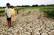 USAID helps Vietnam cushion climate change impacts