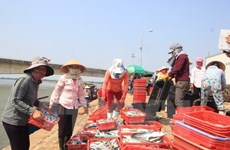 Ha Tinh offers temporary support to residents hit by mass fish deaths