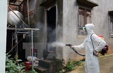 Dak Lak: Dengue fever patients surge in rainy season