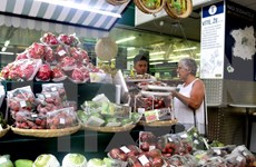 Vietnamese fruits introduced in Czech Republic