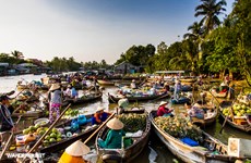 Around 1.25 billion USD committed to Mekong Delta development 