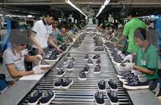 Foreign-invested firms take control over footwear export 
