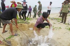 Rice aid comes to affected fishermen in Quang Tri 