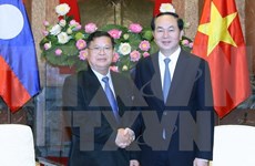 Vietnam gives top priority to relationship with Laos: President 