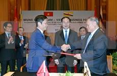 President encourages Brunei firms to invest in Vietnam 