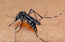 Taiwanese man contracts Zika virus after returning from Vietnam