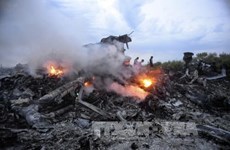Malaysian lawyers propose bringing MH17 case to ICC