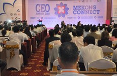 Mekong Connect-CEO Forum 2016: Seeking chances in challenges