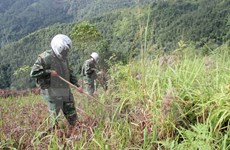 Project launched to clear unexploded ordnances in Ha Tinh