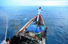 Fisheries trade union objects to China’s attacks on Vietnamese ships