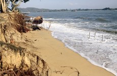 Sand overexploitation, deforestation worsen coastal erosion: expert